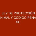 Ley de Protección Animal y Código Penal se cruzan en sanciones contra el maltrato animal