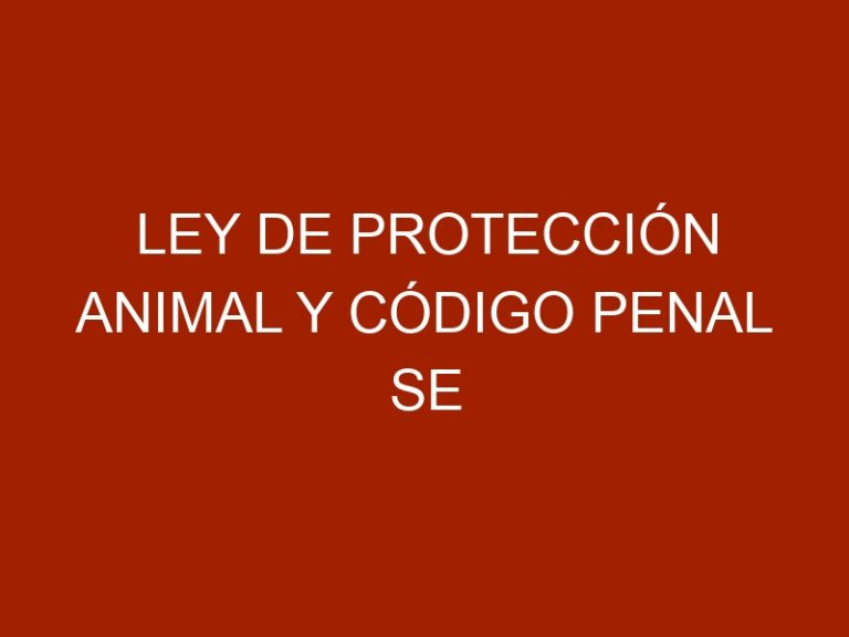 Ley de Protección Animal y Código Penal se cruzan en sanciones contra el maltrato animal