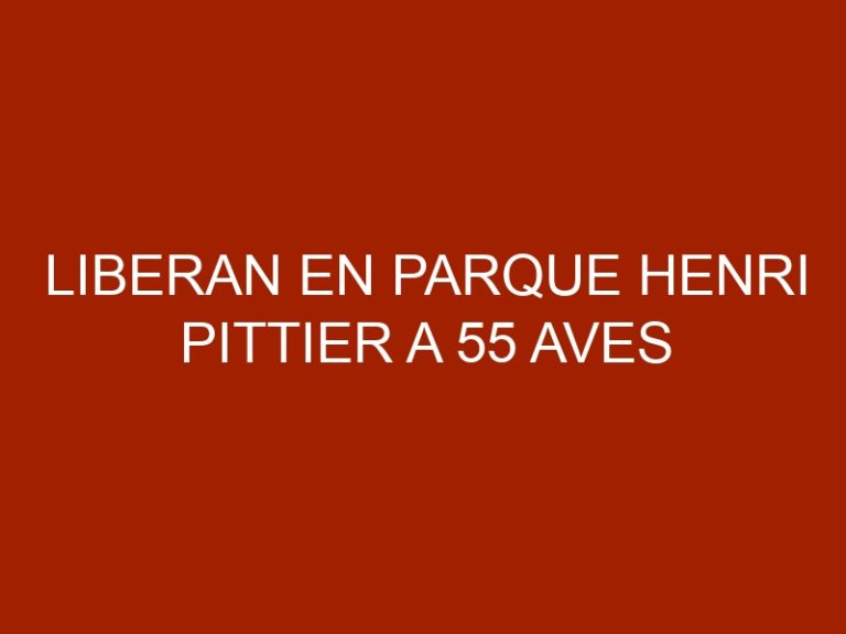 Liberan en Parque Henri Pittier a 55 aves recuperadas