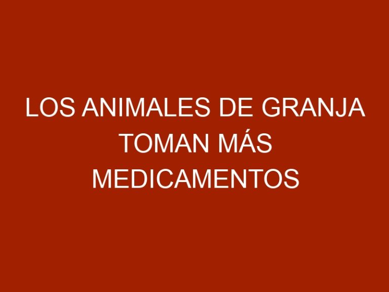 Los animales de granja toman más medicamentos que las personas