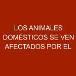 Los animales domésticos se ven afectados por el cambio climático