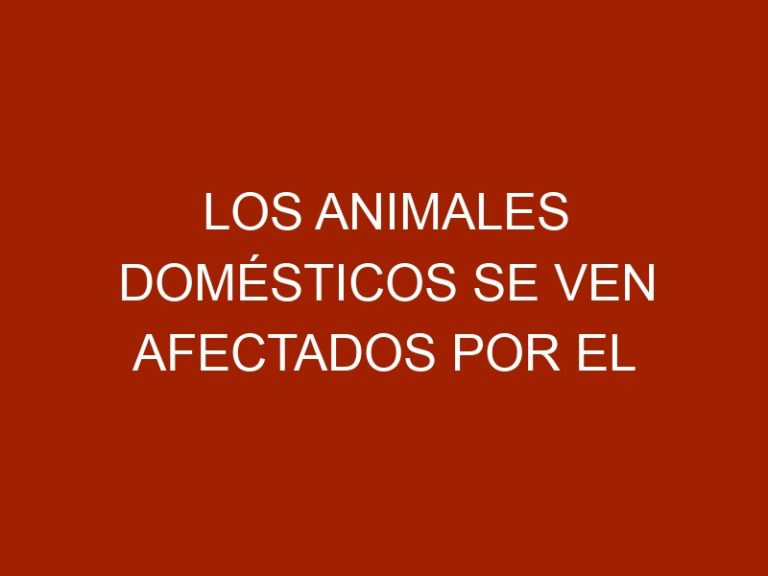 Los animales domésticos se ven afectados por el cambio climático