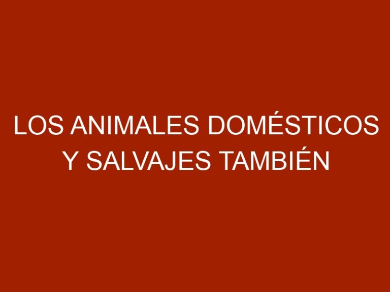 Los animales domésticos y salvajes también pueden padecer cáncer