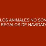 Los animales no son regalos de Navidad