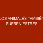 Los animales también sufren estrés