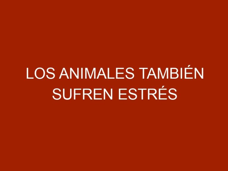 Los animales también sufren estrés