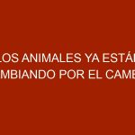 Los animales ya están cambiando por el cambio climático