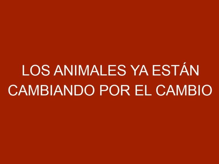 Los animales ya están cambiando por el cambio climático