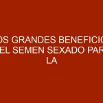Los grandes beneficios del semen sexado para la producción lechera