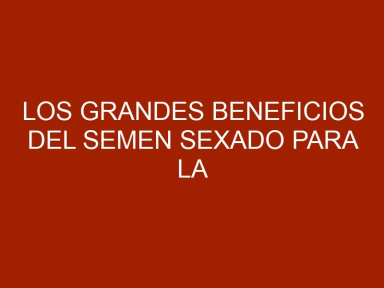 Los grandes beneficios del semen sexado para la producción lechera