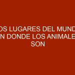 Los lugares del mundo en donde los animales son los que mandan