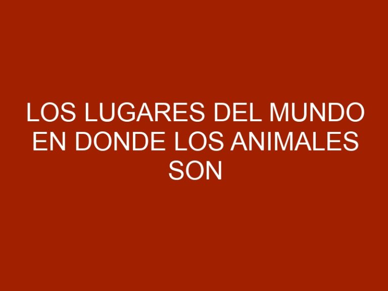 Los lugares del mundo en donde los animales son los que mandan