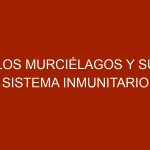 Los Murciélagos y su Sistema Inmunitario
