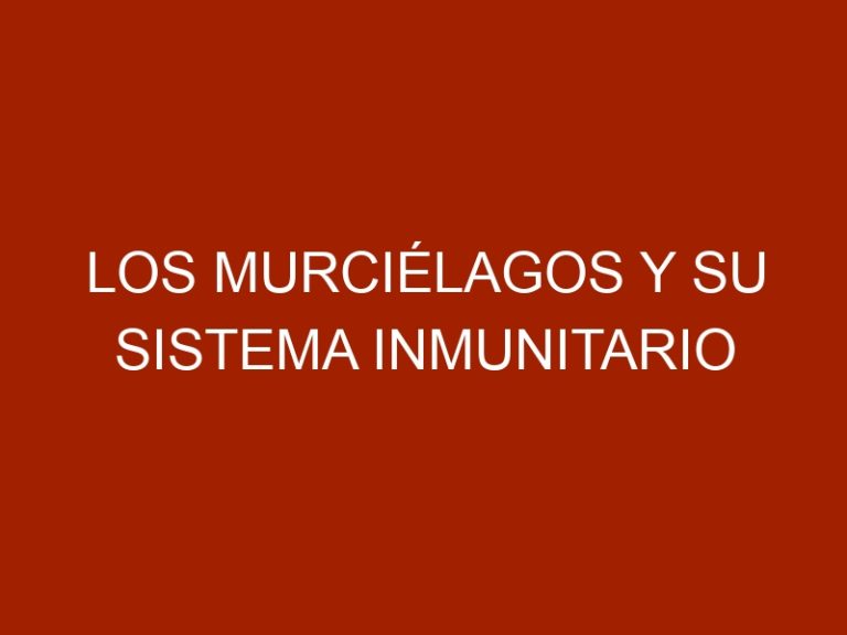 Los Murciélagos y su Sistema Inmunitario