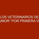 “Los Veterinarios del Humor” por primera vez en Maracay