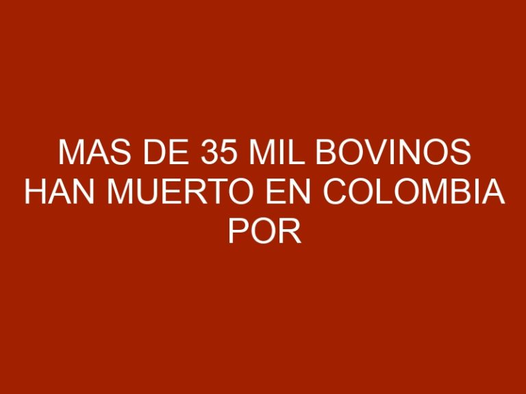 Mas de 35 mil bovinos han muerto en Colombia por la sequía