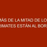 Más de la mitad de los primates están al borde de la extinción