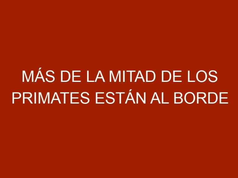 Más de la mitad de los primates están al borde de la extinción