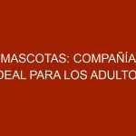 Mascotas: Compañía ideal para los adultos mayores