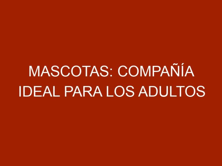 Mascotas: Compañía ideal para los adultos mayores