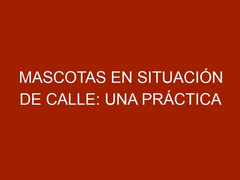 Mascotas en Situación de Calle: Una Práctica Inconsciente a la Orden del Día