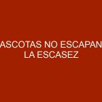 Mascotas no escapan a la escasez
