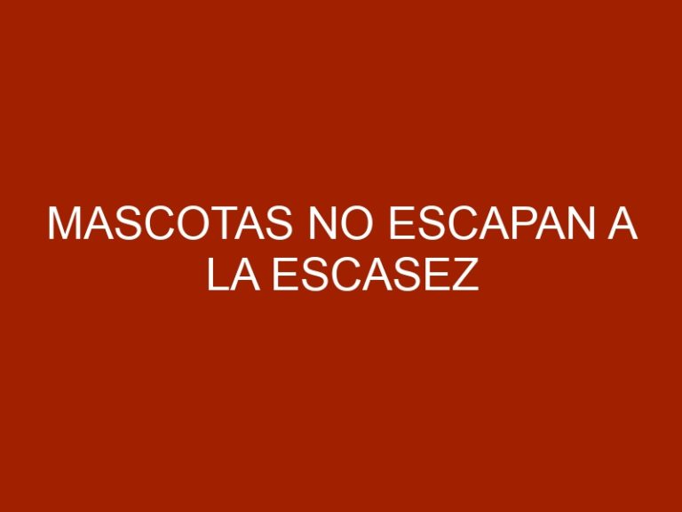 Mascotas no escapan a la escasez