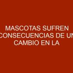 Mascotas sufren consecuencias de un cambio en la alimentación por la escasez