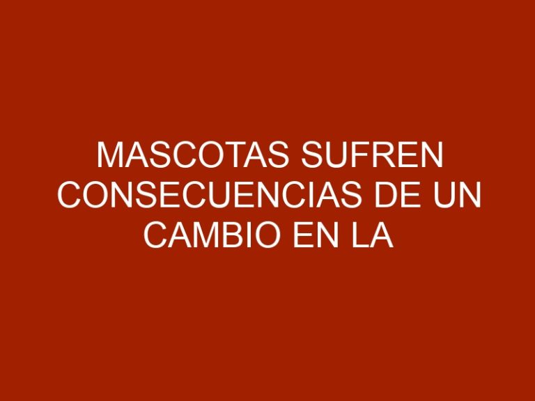 Mascotas sufren consecuencias de un cambio en la alimentación por la escasez