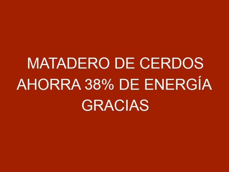Matadero de cerdos ahorra 38% de energía gracias a la solar térmica