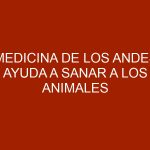 Medicina de los Andes ayuda a sanar a los animales