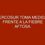 Mercosur toma medidas frente a la fiebre aftosa