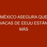 MÉXICO asegura que vacas de EEUU están más gordas que nunca