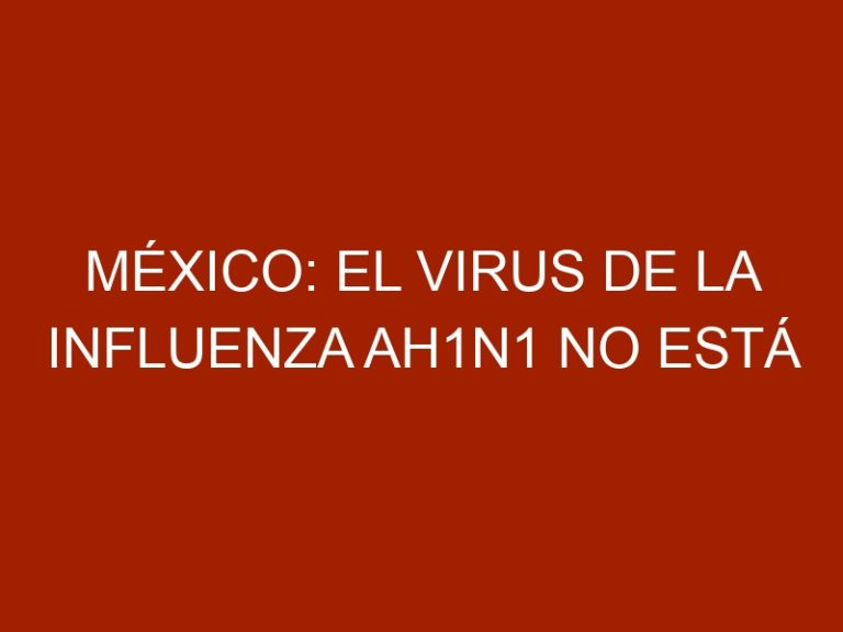 México: El virus de la influenza AH1N1 no está asociada con animales