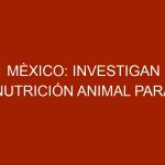 Mèxico: Investigan nutrición animal para aumentar producción ganadera