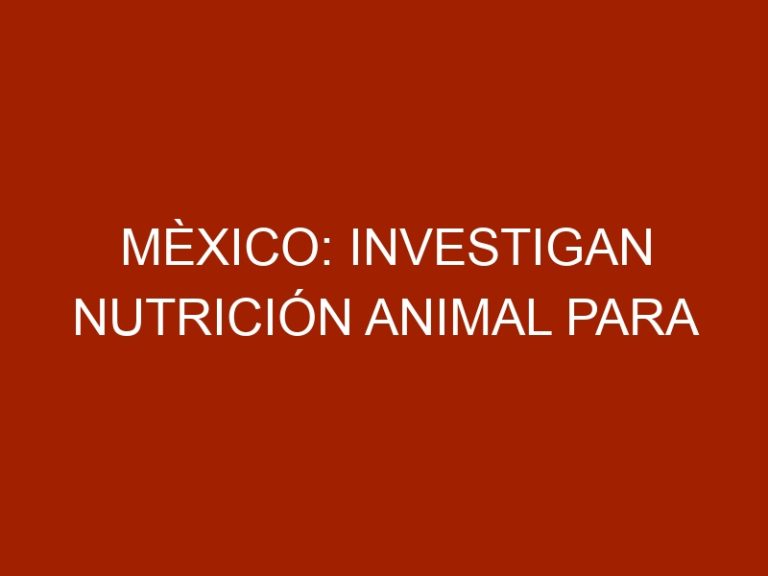 Mèxico: Investigan nutrición animal para aumentar producción ganadera