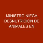 Ministro niega desnutrición de animales en zoológico de Caricuao