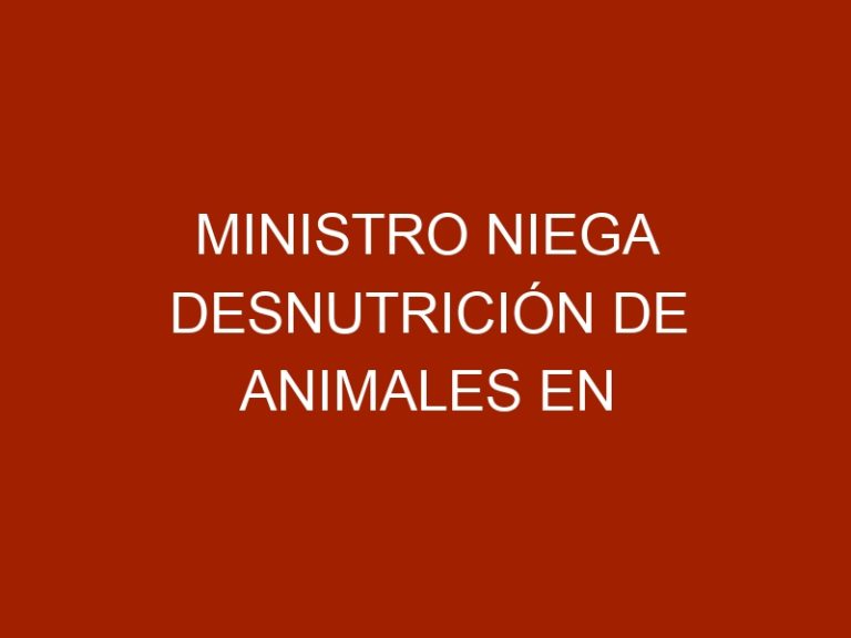 Ministro niega desnutrición de animales en zoológico de Caricuao
