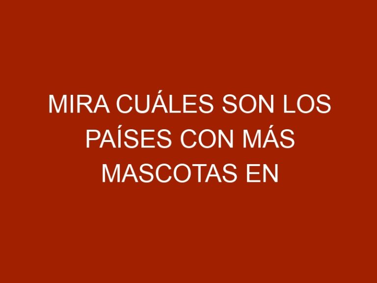 Mira cuáles son los países con más mascotas en el mundo
