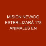 Misión Nevado esterilizará 178 animales en Aragua