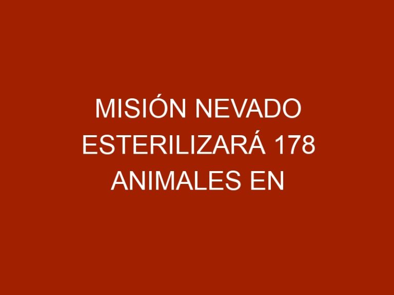 Misión Nevado esterilizará 178 animales en Aragua