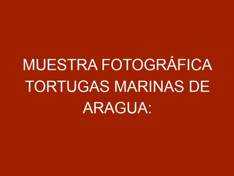 Muestra Fotográfica Tortugas Marinas de Aragua: Tesoro de Nuestras Costas