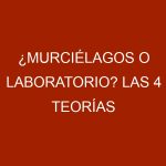 ¿Murciélagos o laboratorio? Las 4 teorías sobre la COVID que maneja la OMS