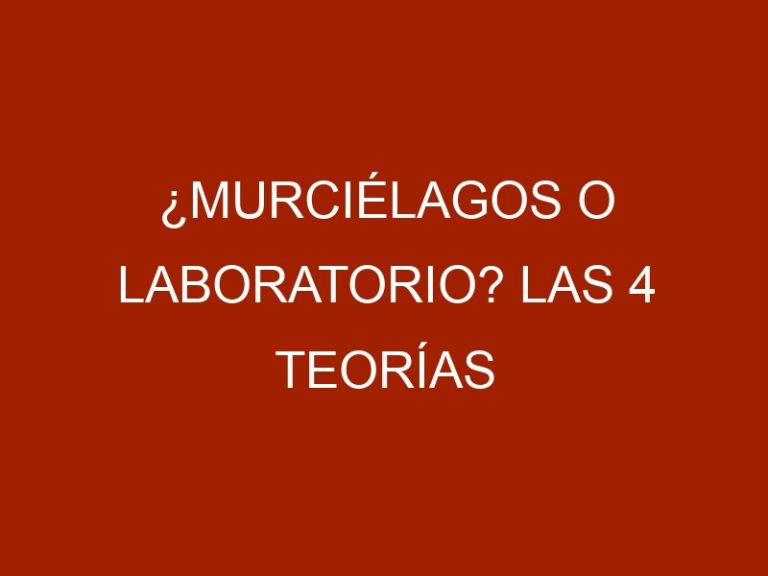 ¿Murciélagos o laboratorio? Las 4 teorías sobre la COVID que maneja la OMS