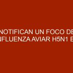 Notifican un foco de influenza aviar H5N1 en Francia