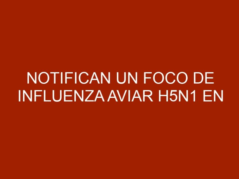 Notifican un foco de influenza aviar H5N1 en Francia