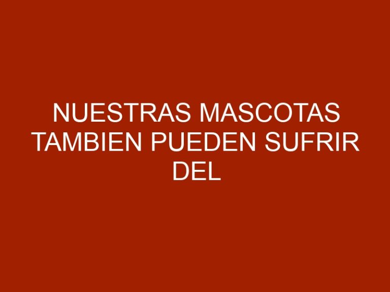 Nuestras mascotas tambien pueden sufrir del corazón