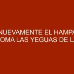 Nuevamente el hampa toma las yeguas de la Facultad de Ciencias Veterinarias en Maracay