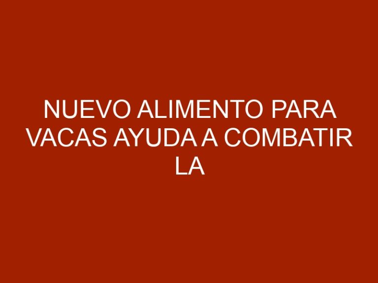 Nuevo alimento para vacas ayuda a combatir la contaminación ambiental