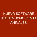 Nuevo software muestra cómo ven los animales